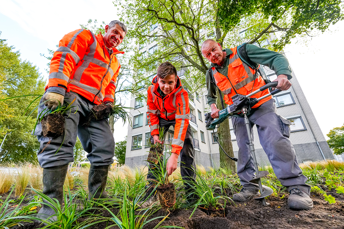 BanenExpo Van Huizen Groenvoorziening