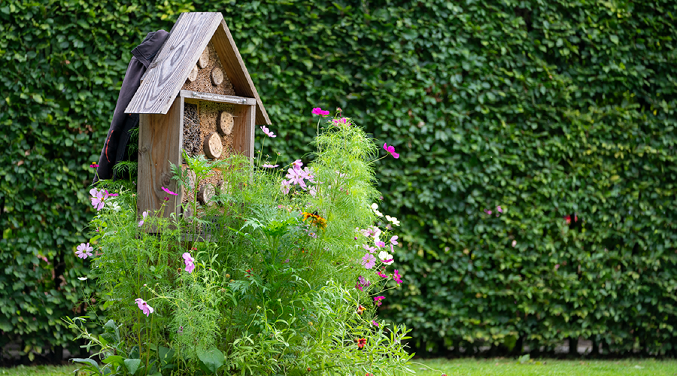 Vacature KAM-coördinator Van Huizen Groenvoorziening